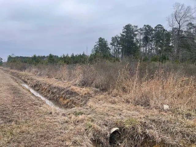 3137 Deer Creek Dr., Loris, SC 29569 - #3