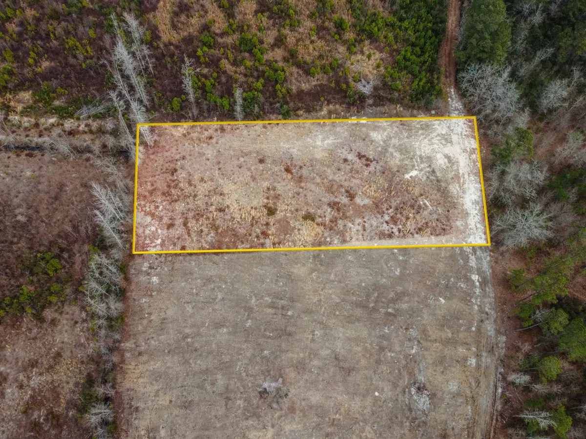 7306 Bellaire Dr., Nichols, SC 29581 - #1