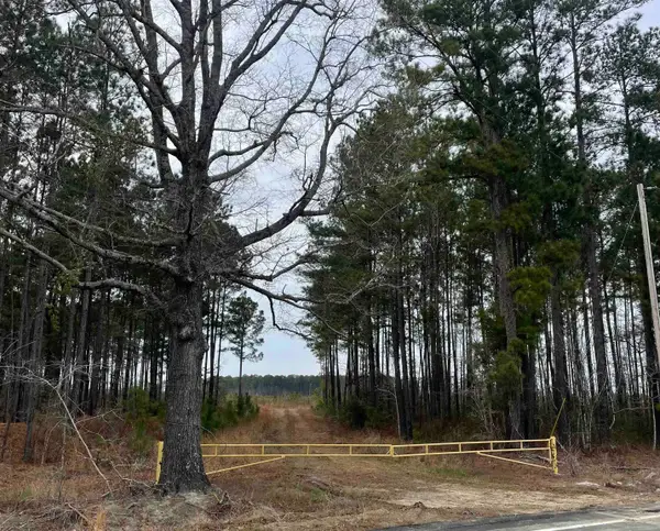 TBD Rocky Ford Rd., Salters, SC 29590