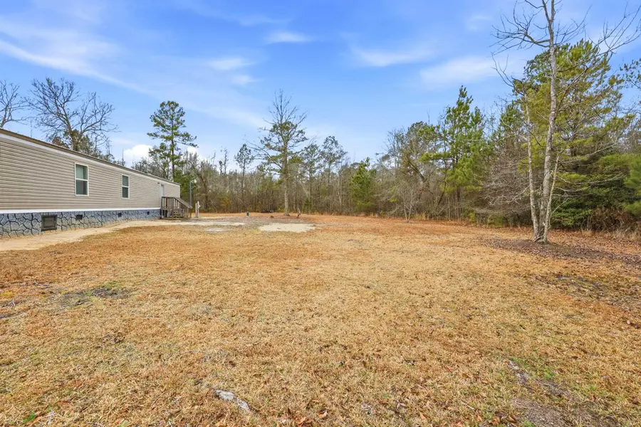 1222 Birch Creek Rd., Andrews, SC 29510 - #2