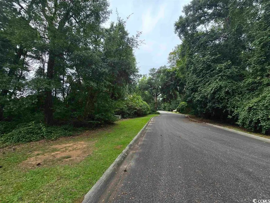 TBD Gillette Pl., Murrells Inlet, SC 29576 - #3