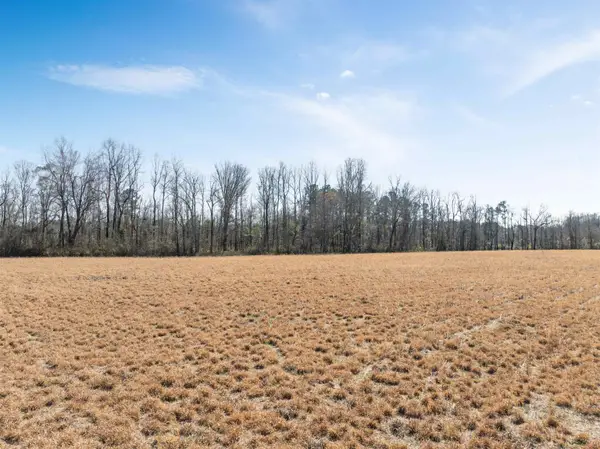 Lot 4 Sheila Dr., Johnsonville, SC 29555