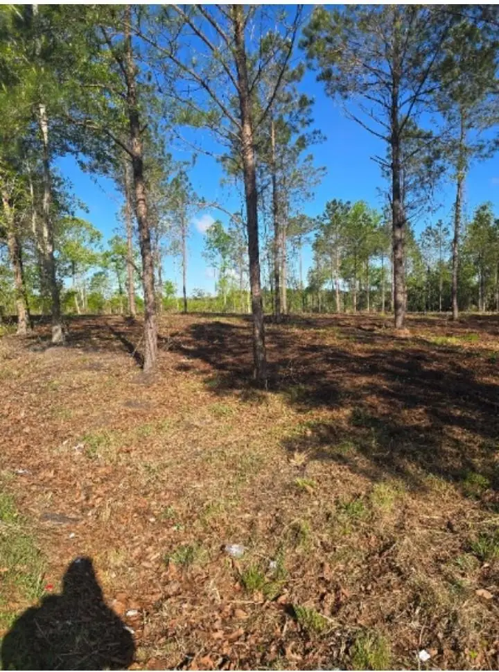 1513 Oakdale Rd., Loris, SC 29569 - #2