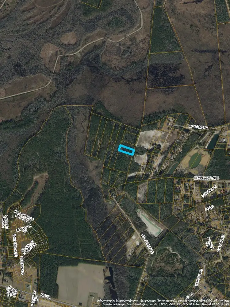 S Mill Swamp Rd., Longs, SC 29568 - #2