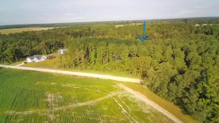 TBD Lawson Rd., Loris, SC 29569 - #2