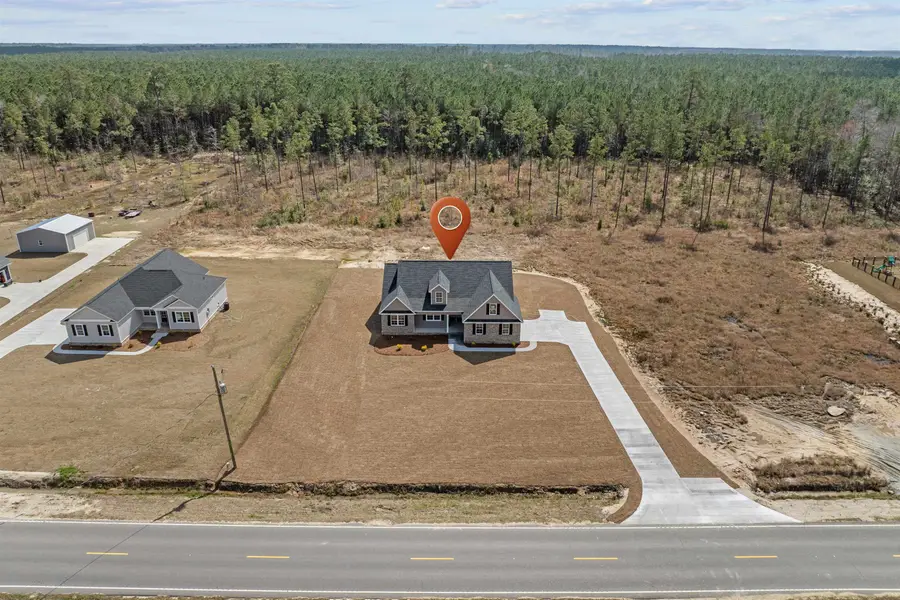 6933 Pauley Swamp Rd., Conway, SC 29527 - #3