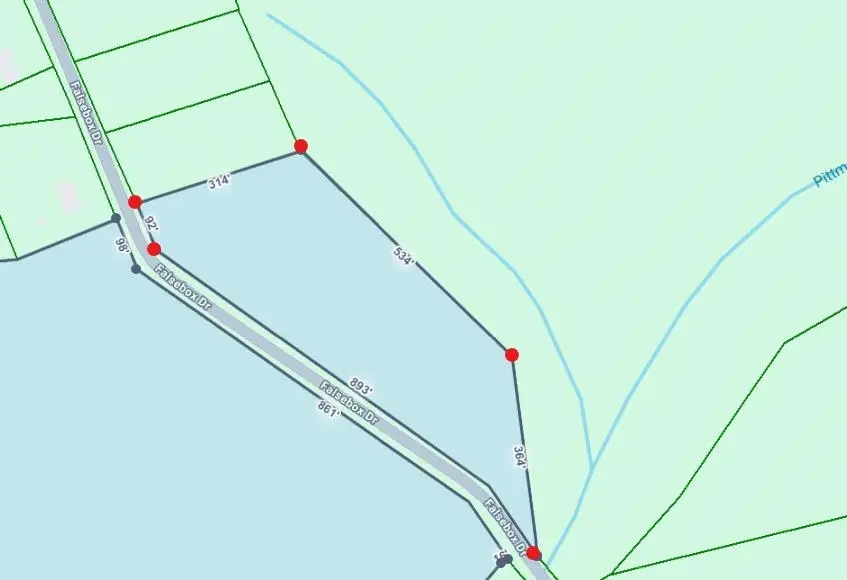TBD Falsebox Dr., Hemingway, SC 29554 - #2
