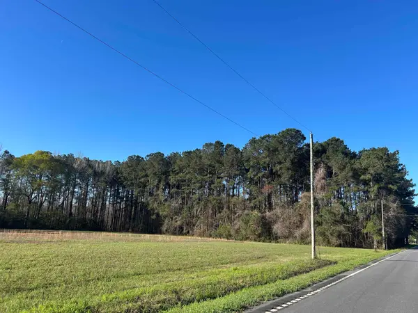 TBD Bucksville Dr., Conway, SC 29527