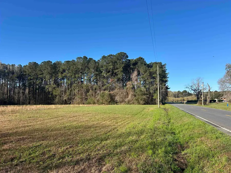 TBD Bucksville Dr., Conway, SC 29527 - #2