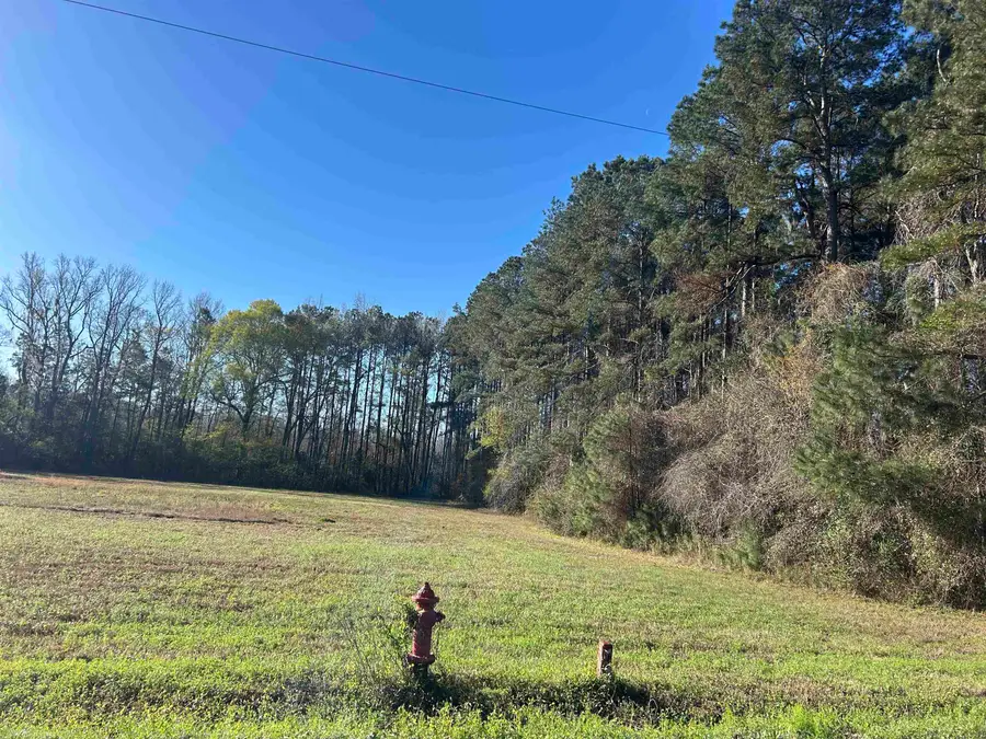 TBD Bucksville Dr., Conway, SC 29527 - #3