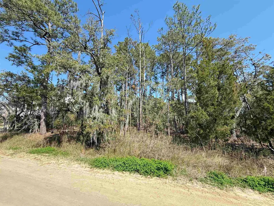 27 Stamper Trail, Pawleys Island, SC 29585 - #2