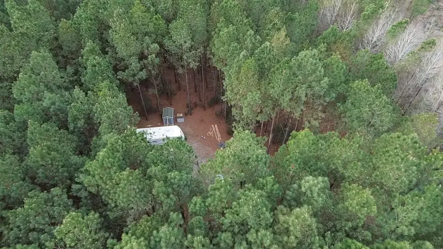 2.11 Acres Boggy Branch Rd., Nichols, SC 29581 - #2