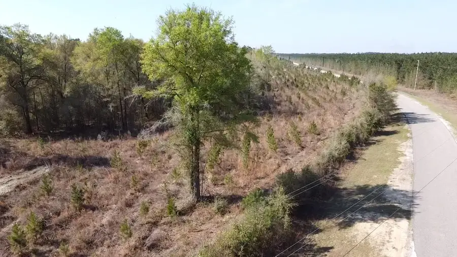 Lot 1 Amos Rd, Georgetown, SC 29440 - #2