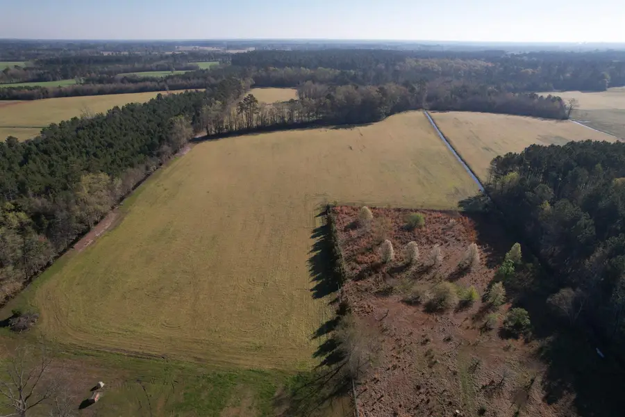 TBD Green Rd., Lake City, SC 29560 - #2