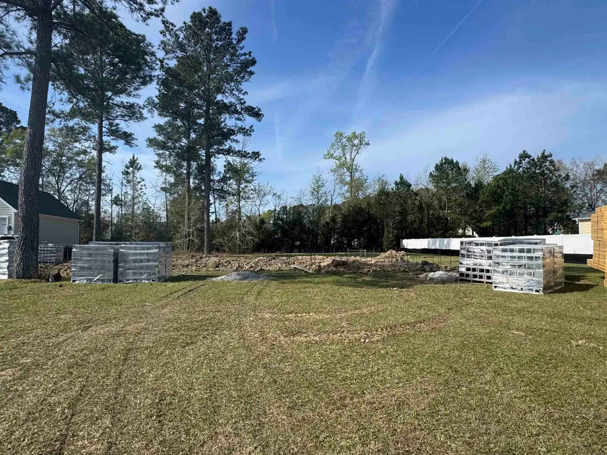 116 Pottery Landing Dr., Conway, SC 29527 - #1