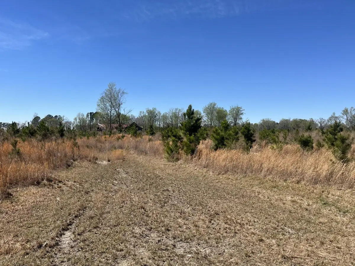 Attadale Rd, Blenheim, SC 29516 - #1