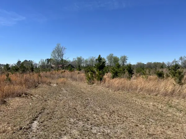 Attadale Rd, Blenheim, SC 29516