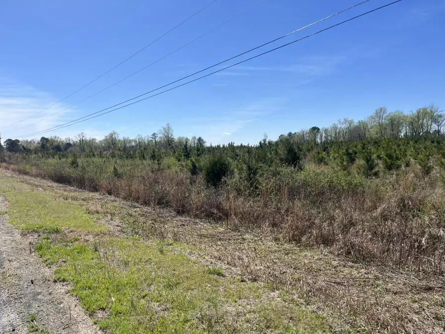 Attadale Rd, Blenheim, SC 29516 - #3