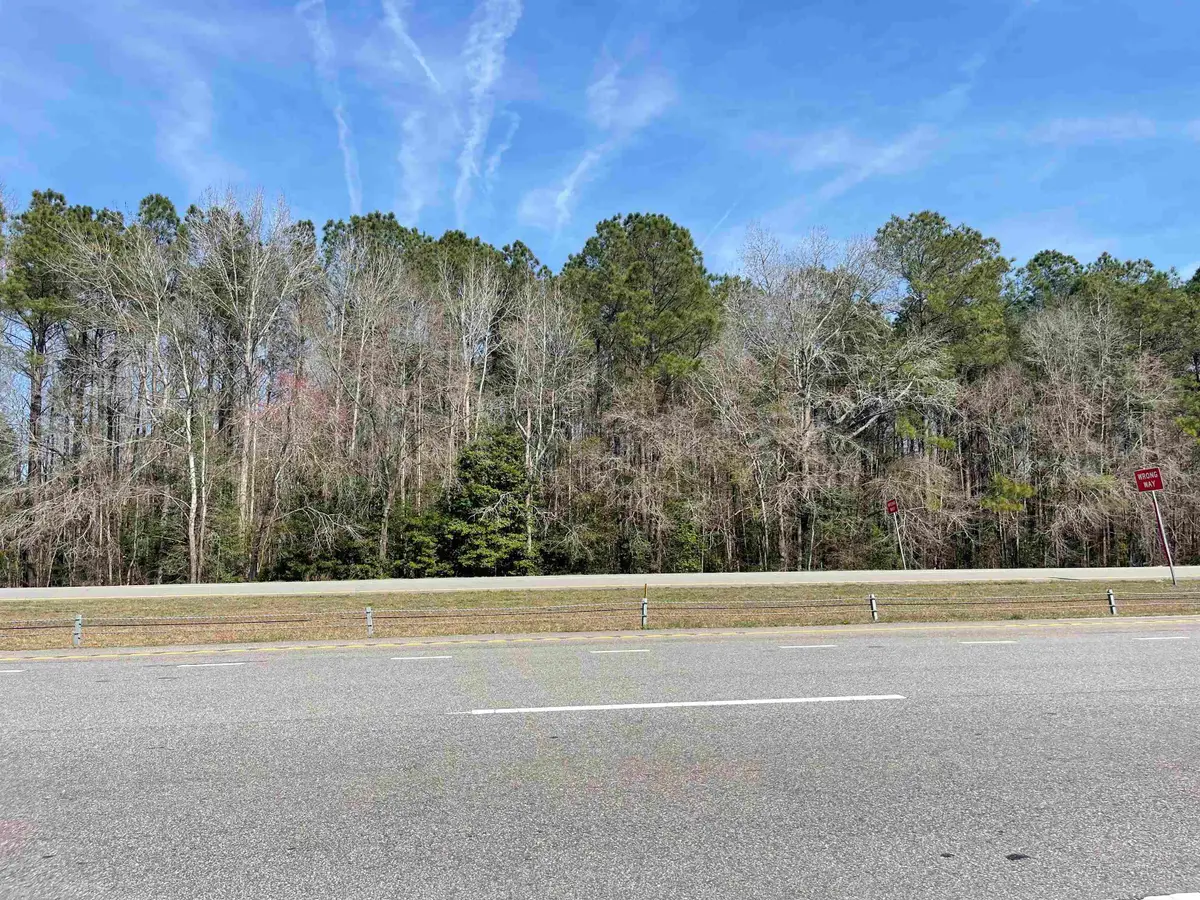1243 Hwy 9, Loris, SC 29569 - #1