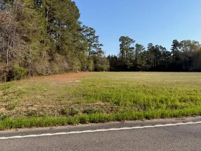 TBD Joyner Swamp Rd., Galivants Ferry, SC 29544 - #1