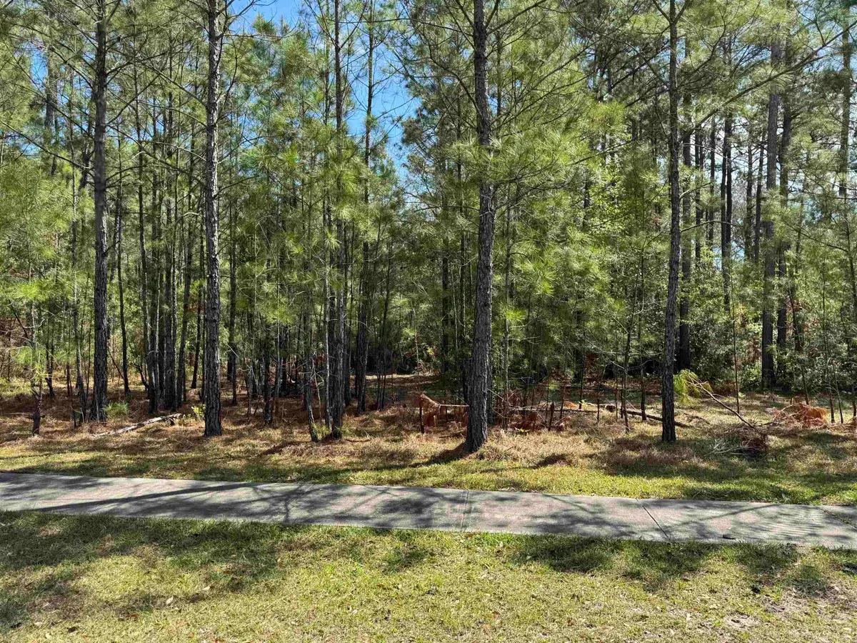 113 Pineberry Dr., Georgetown, SC 29440 - #1