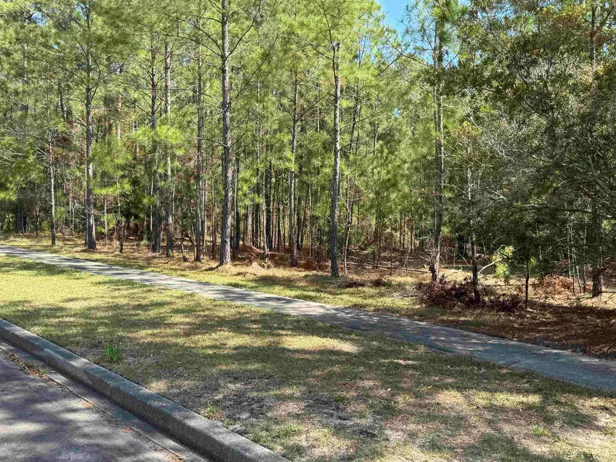 113 Pineberry Dr., Georgetown, SC 29440 - #2