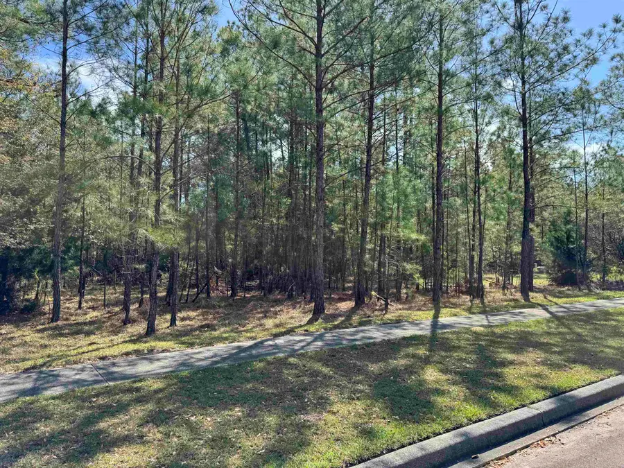 113 Pineberry Dr., Georgetown, SC 29440 - #3