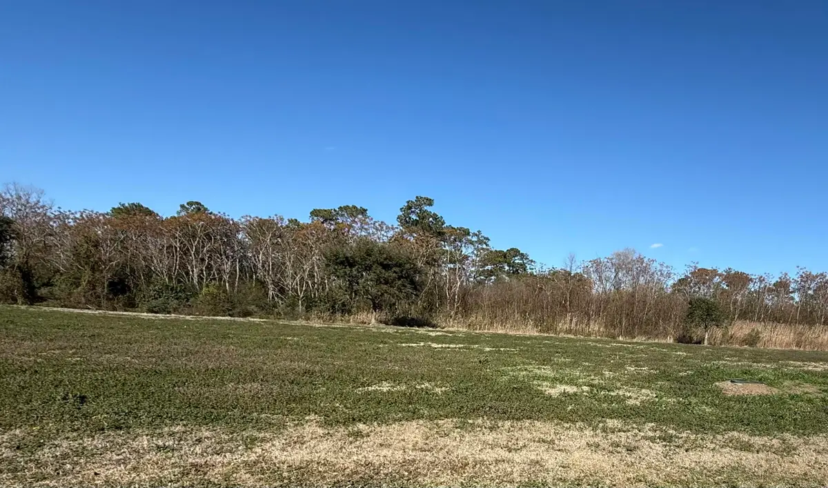 151 Cravens Grant, Georgetown, SC 29440 - #1