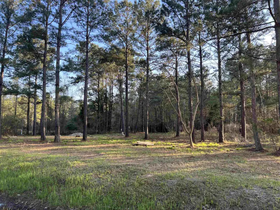 2108 Lees Landing Circle, Conway, SC 29526 - #2