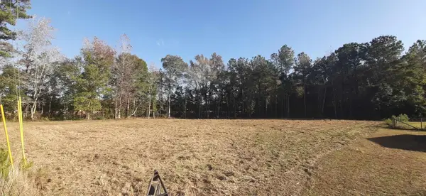 TBD Firehouse Rd., Conway, SC 29527