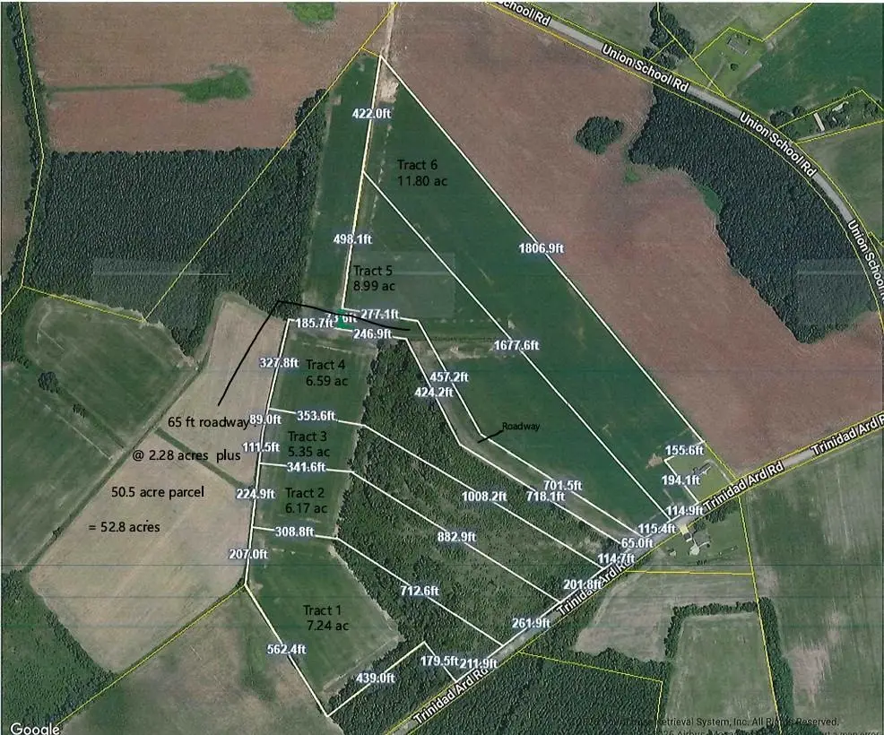 TBD Tract 2 Trinidad Ard Rd, Coward, SC 29530 - #1