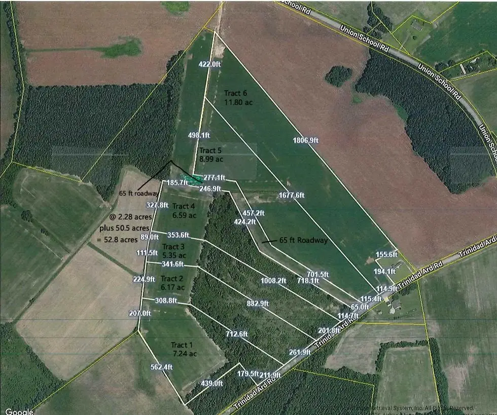 TBD Tract 5 Trinidad Ard Rd, Coward, SC 29530 - #1
