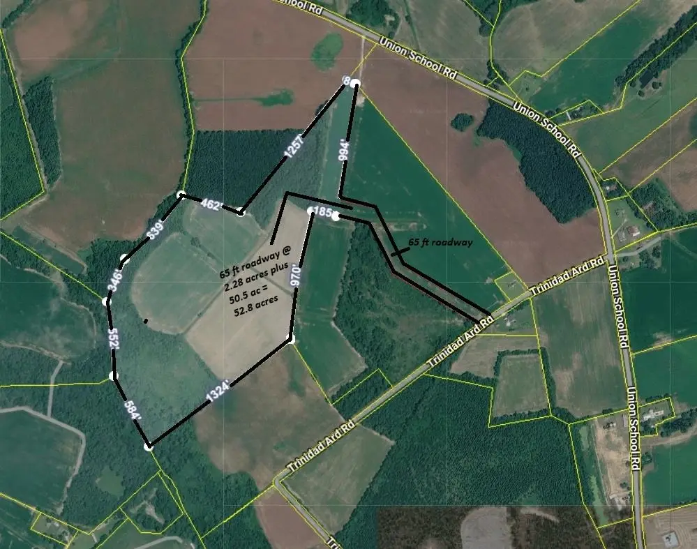 TBD 52.8 Ac off Union School Rd., Coward, SC 29530 - #1