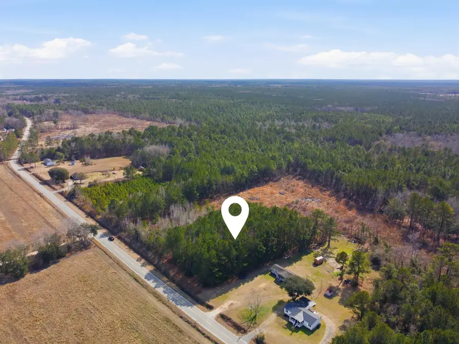 Gibson Rd., Greeleyville, SC 29056 - #3