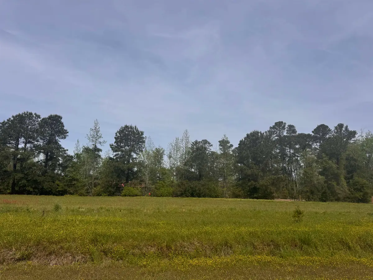 1991 Church Rd., Green Sea, SC 29545 - #1