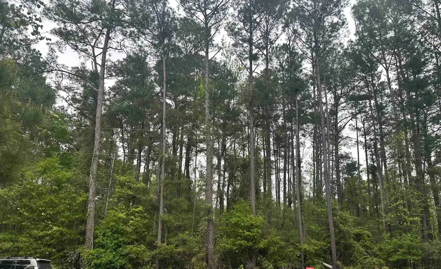 TBD Creekside Dr., Myrtle Beach, SC 29588 - #3