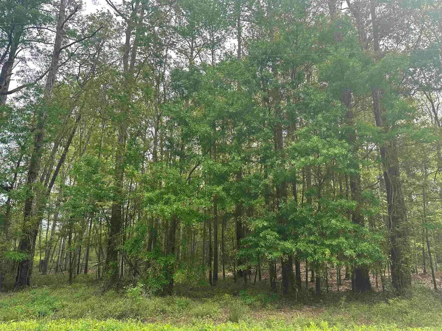 TBD Creekside Dr., Myrtle Beach, SC 29588 - #2