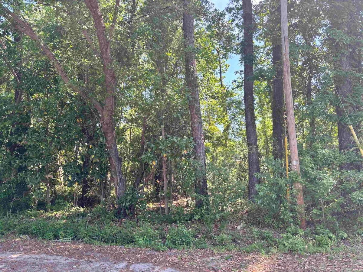 TBD Wilson Ln, Conway, SC 29526 - #1