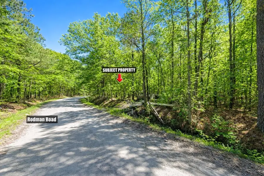 TBD Rodman Rd., Lake City, SC 29560 - #2
