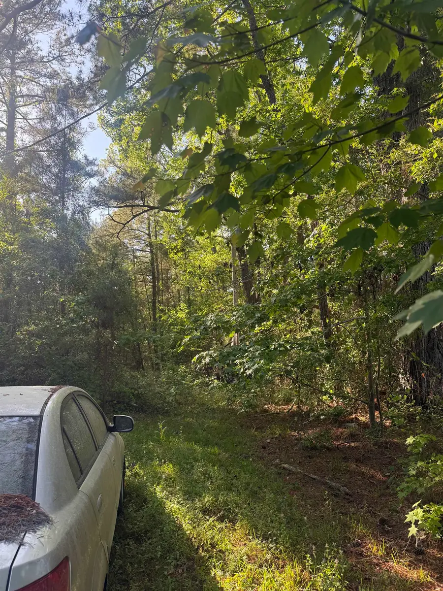 290 Highway 57 S., Little River, SC 29566 - #2