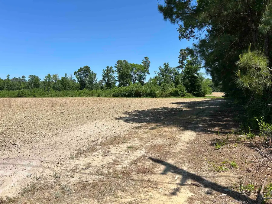 TBD2 Pleasant Hill Dr., Hemingway, SC 29554 - #3