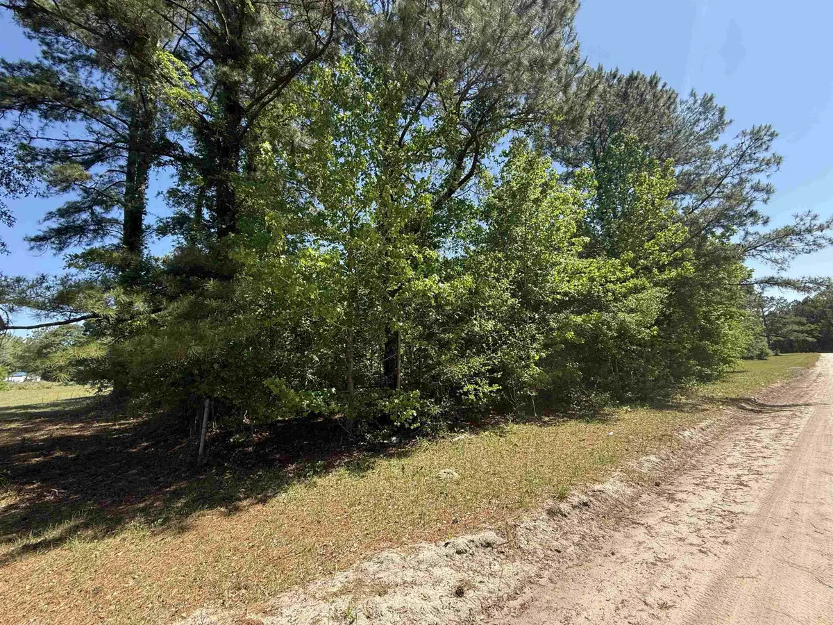 TBD New Bridge Rd., Nichols, SC 29581 - #1