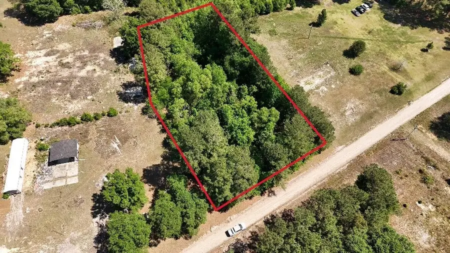 TBD New Bridge Rd., Nichols, SC 29581 - #2