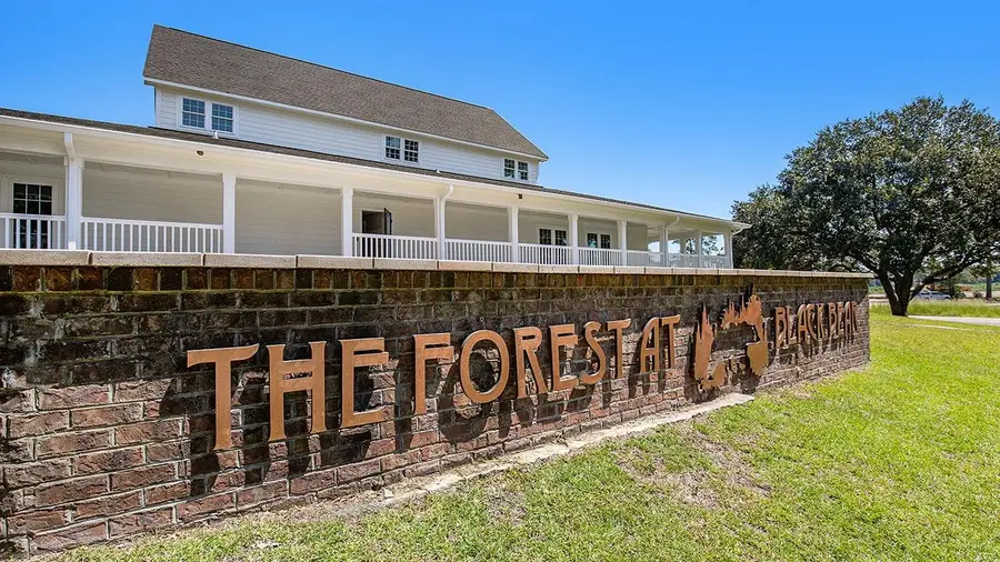 359 Black Bean Way, Longs, SC 29568 - #3
