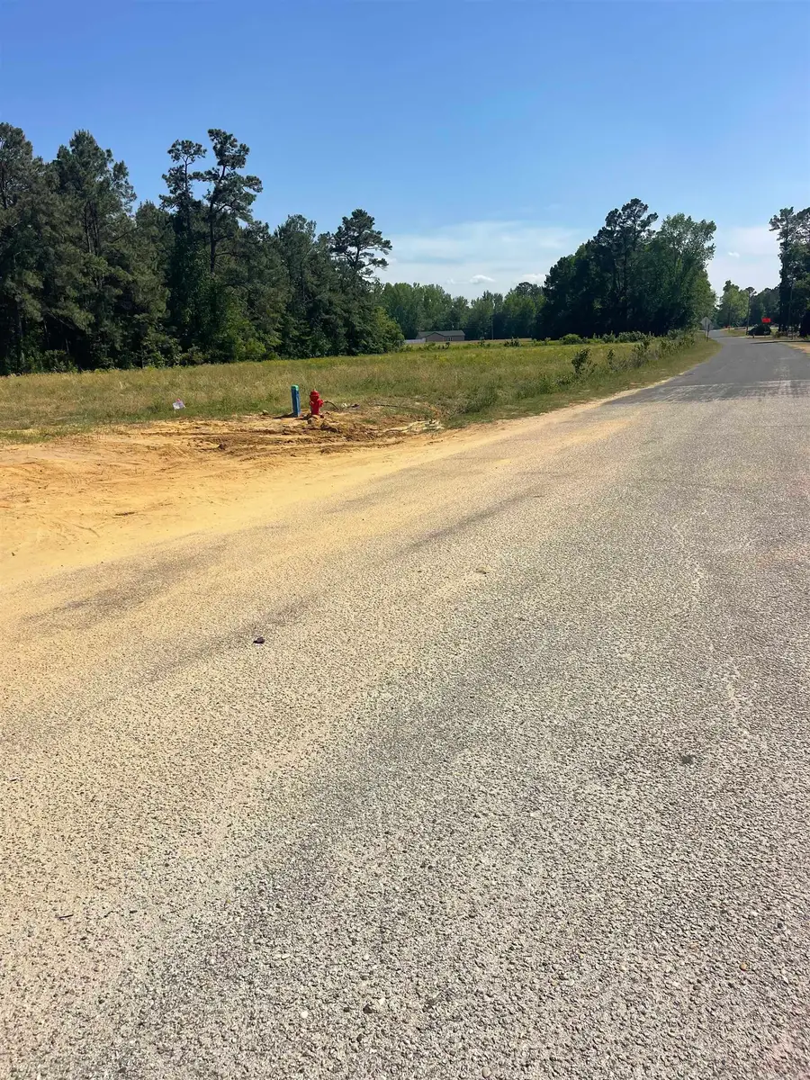 TBD Highway 9 Bypass, Loris, SC 29569 - #3