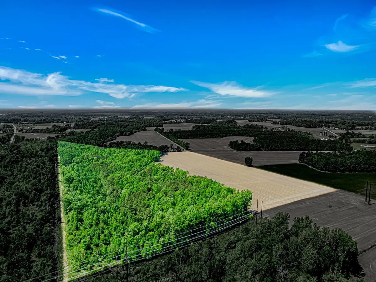 TBD Trinidad Ard Rd, Coward, SC 29530 - #1