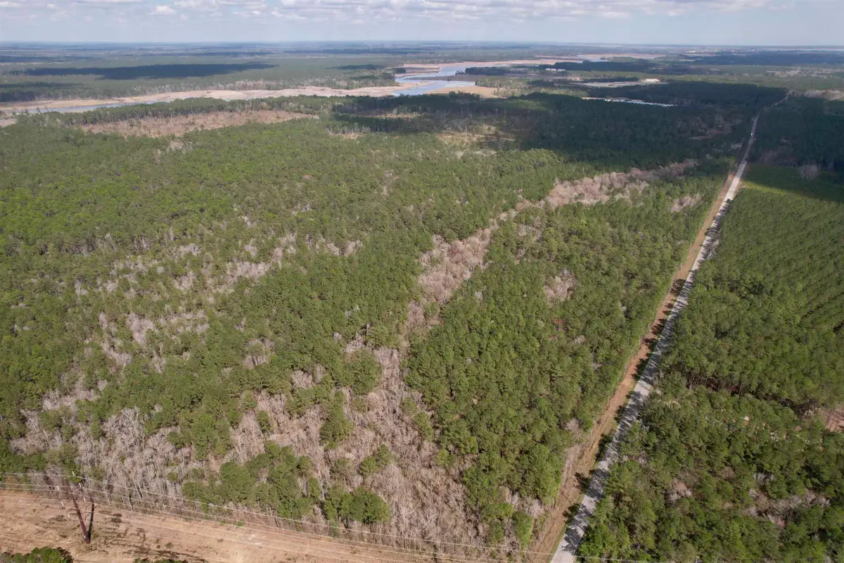 Tract C - TBD Pennyroyal Rd., Georgetown, SC 29440 - #1