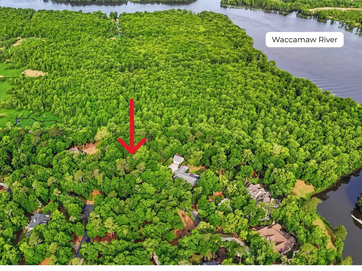 116 Sandy Ridge Loop, Pawleys Island, SC 29585 - #1