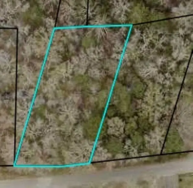 TBD Mckenzie Circle, Pawleys Island, SC 29585 - #1