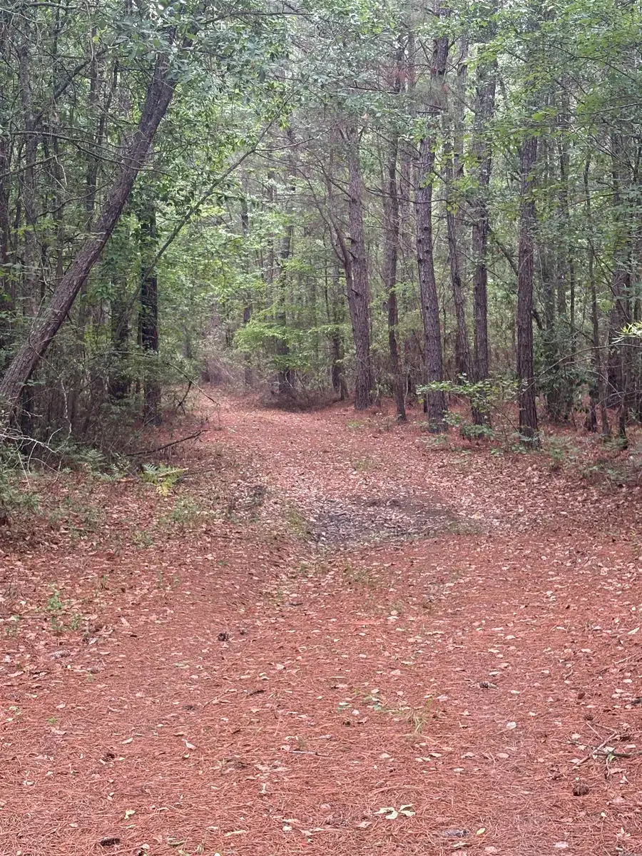 452 Tram Rd., Cades, SC 29518 - #3
